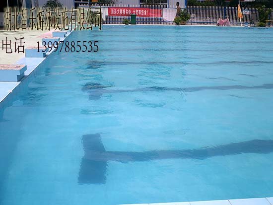 湖北智乐游泳设施有限公司游泳池水处理,泳池水处理